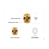 Oval Citrine Silver Earrings - IDiamond