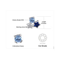 Star Topaz Spinel Silver Earrings - IDiamond