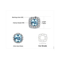 Square Topaz Silver Earrings - IDiamond