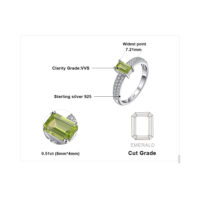 Rectangle Peridot Silver Ring - IDiamond