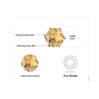 Round Citrine Silver Earrings - IDiamond
