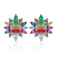 Tourmaline Ruby Silver Earrings - IDiamond